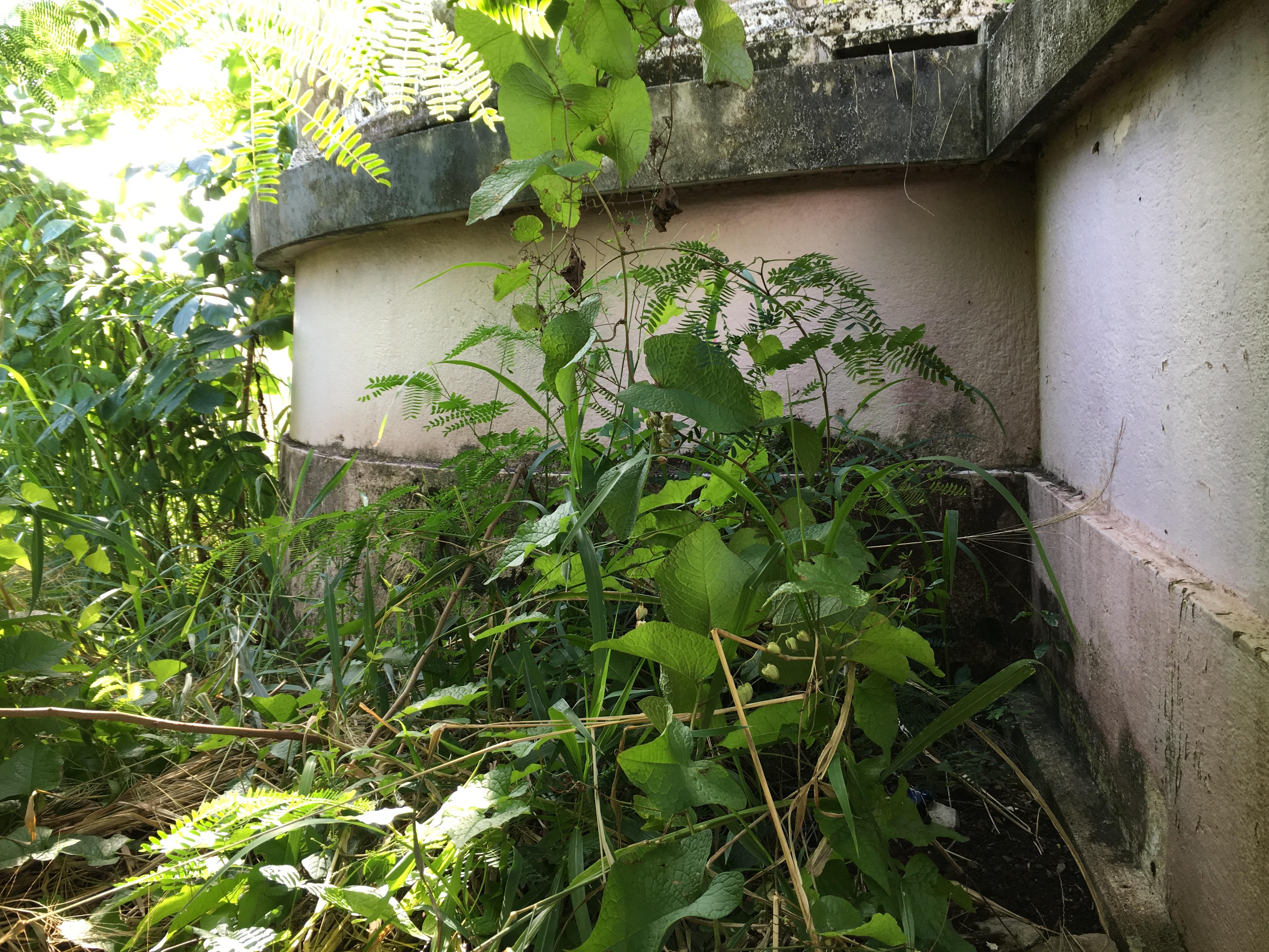 Castillo Villa del Mar - Naguabo - 2015 00101